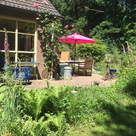 Blauwe Lelie Villa Ewijk Bagian luar foto