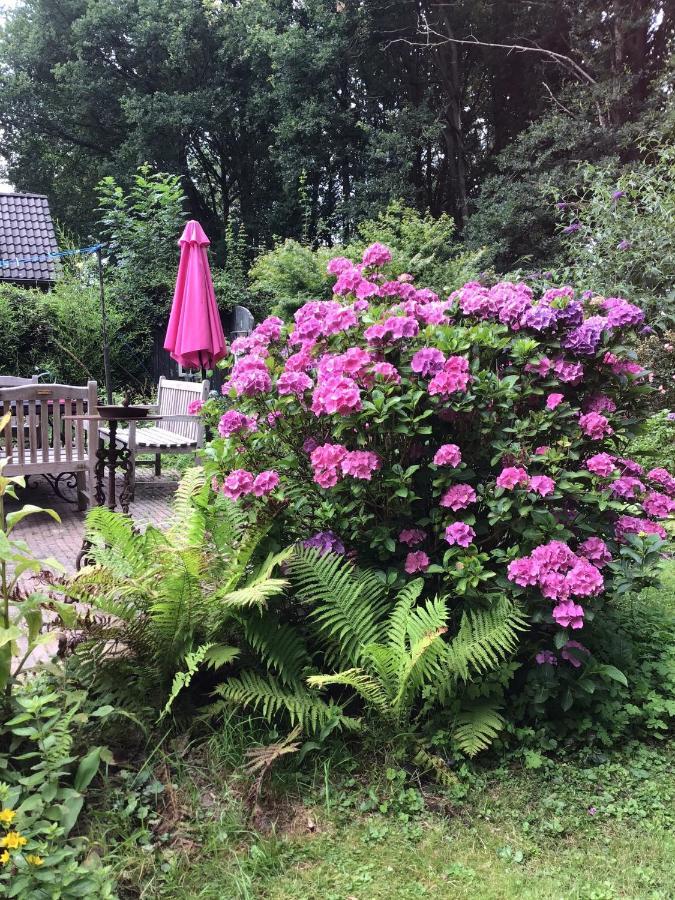 Blauwe Lelie Villa Ewijk Bagian luar foto