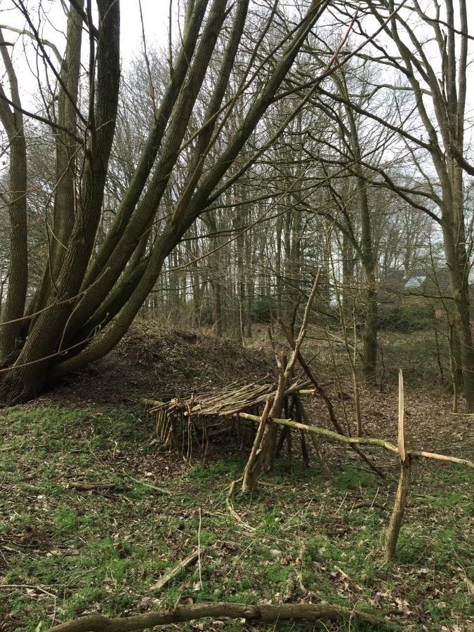 Blauwe Lelie Villa Ewijk Bagian luar foto