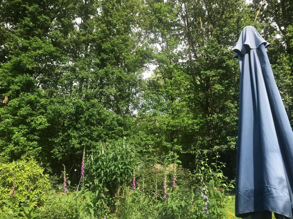 Blauwe Lelie Villa Ewijk Bagian luar foto